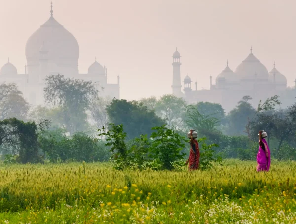 A Journey Through Delhi, Agra, and Jaipur